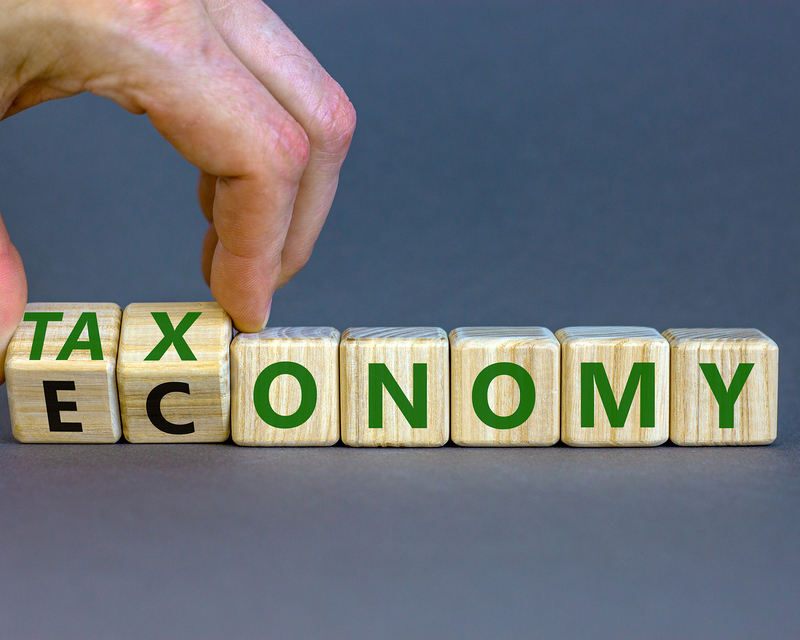 Taxonomy or economy symbol. Businessman turns cubes, changes the word economy to taxonomy. Beautiful grey table, grey background, copy space. Business, ecology and taxonomy or economy concept.